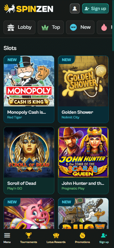 spinzen casino screenshot